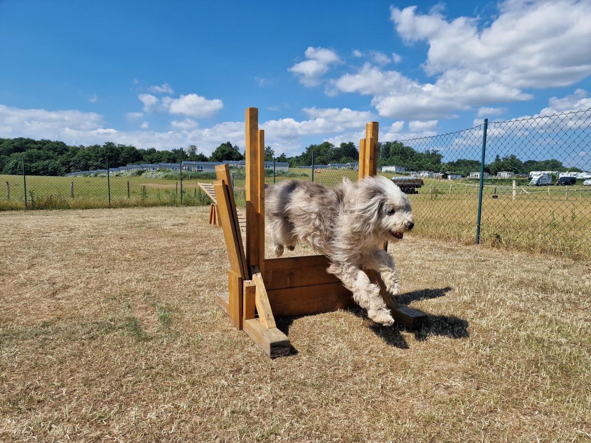 Ostseeferienpark Walkyrien - Lotse 11 Neustadt in Holstein Εξωτερικό φωτογραφία
